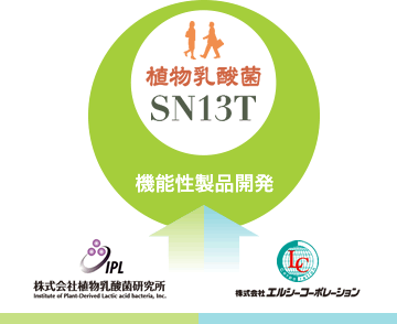 植物乳酸菌SN13T 機能性製品開発